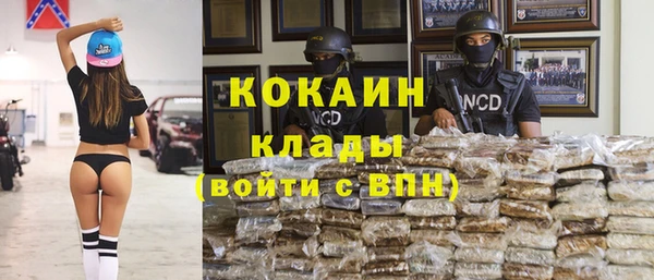 шишки Вяземский