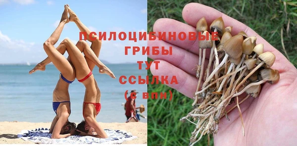 Альфа ПВП Липки