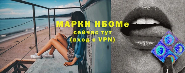 шишки Вяземский