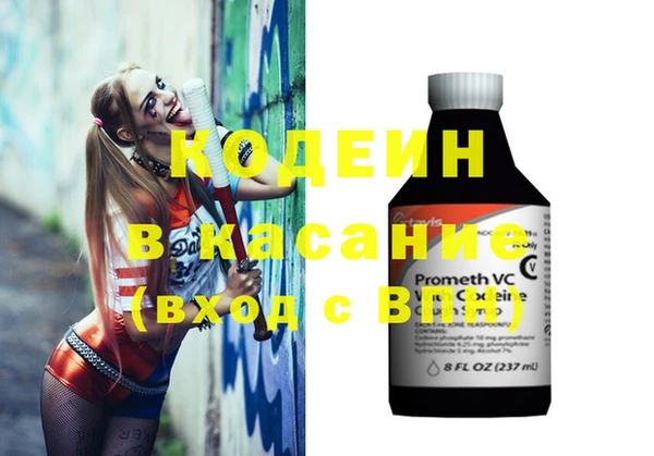 шишки Вяземский